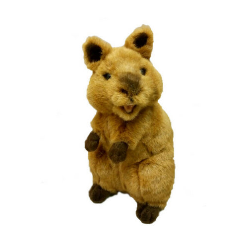 Quokka Soft Toy 28cm Roger