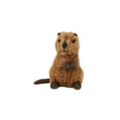 Quokka Soft Toy 14cm Mini