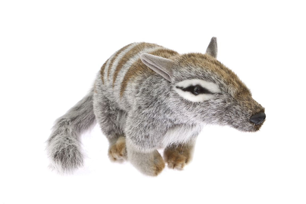 Numbat Soft Toy 30cm standing - Sherbet